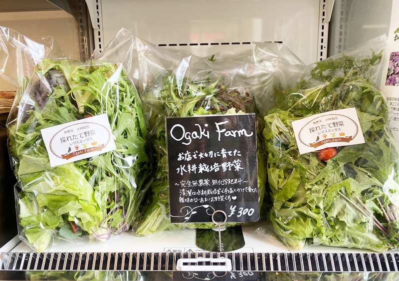 自家製水耕栽培野菜(Ogaki Farm)